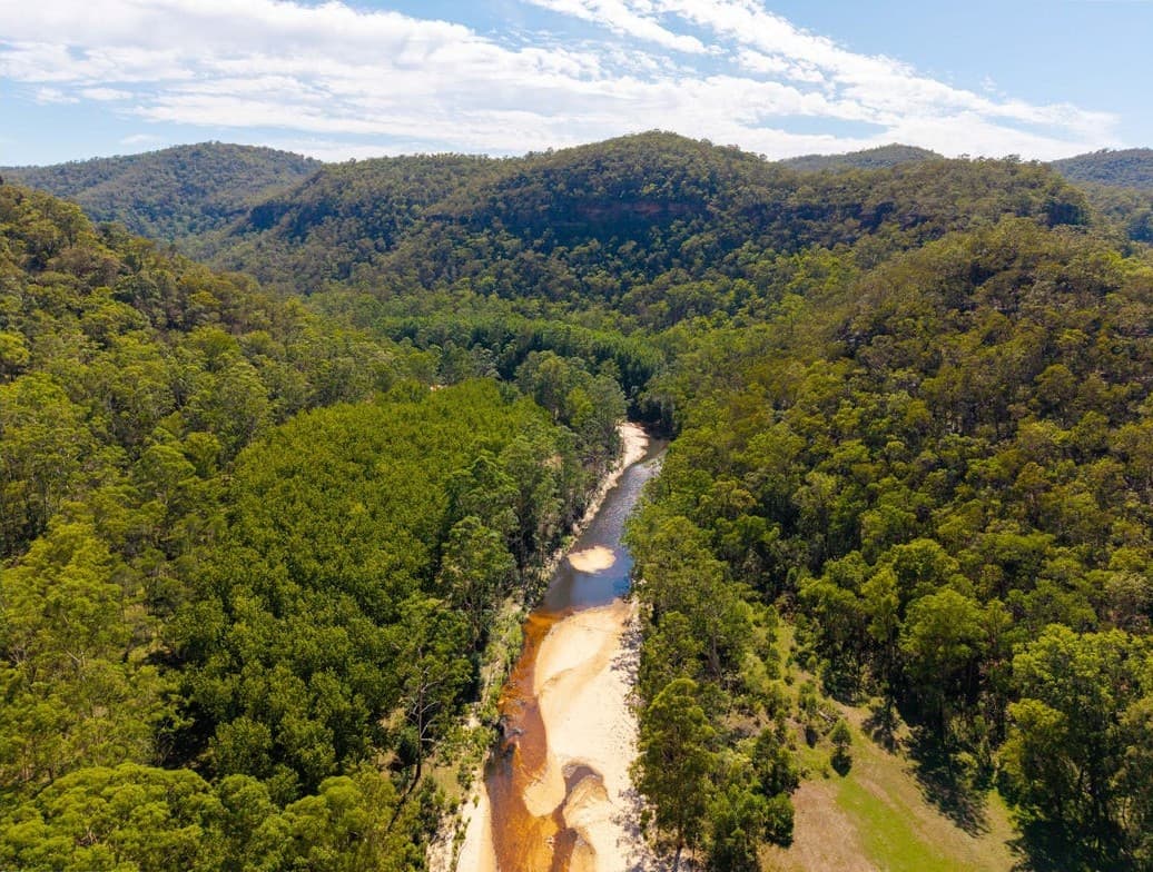 Webbs Creek winding through the forest from above